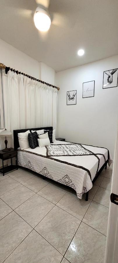 Villa Las Palmeras South Маямі Екстер'єр фото